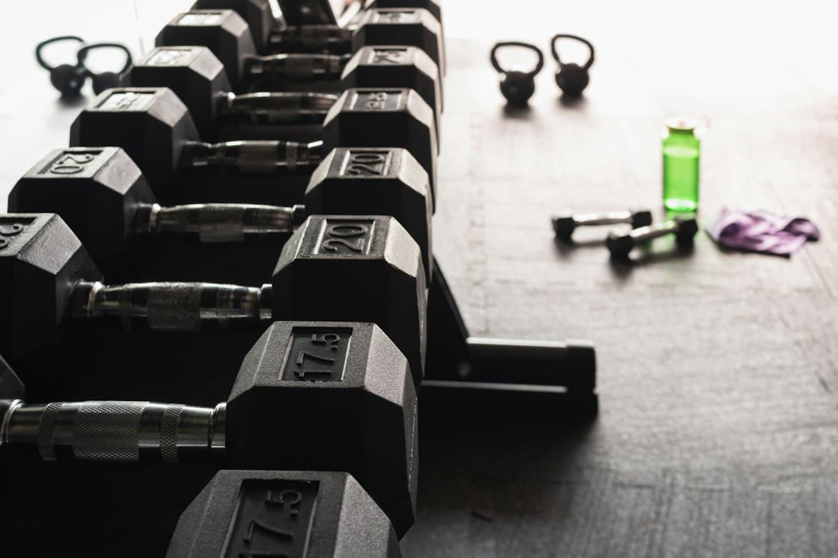 Logging squat sets with suggested weight and reps